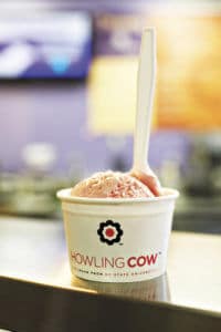 A variety of flavors of Howling Cow ice cream are available at The Common Grounds Cafe & Creamery located inside the D.H. Hill Library on the N.C. State University campus.