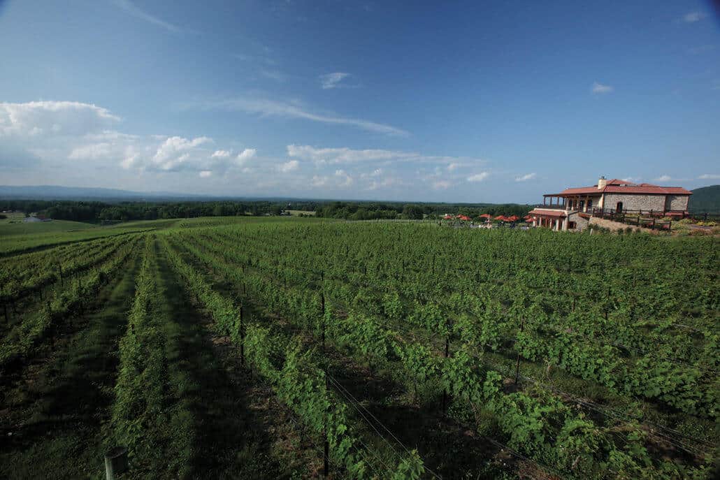 Raffaldini Vineyards & Winery