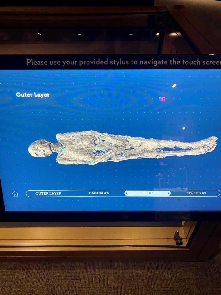 NCMA Golden Mummies of Egypt