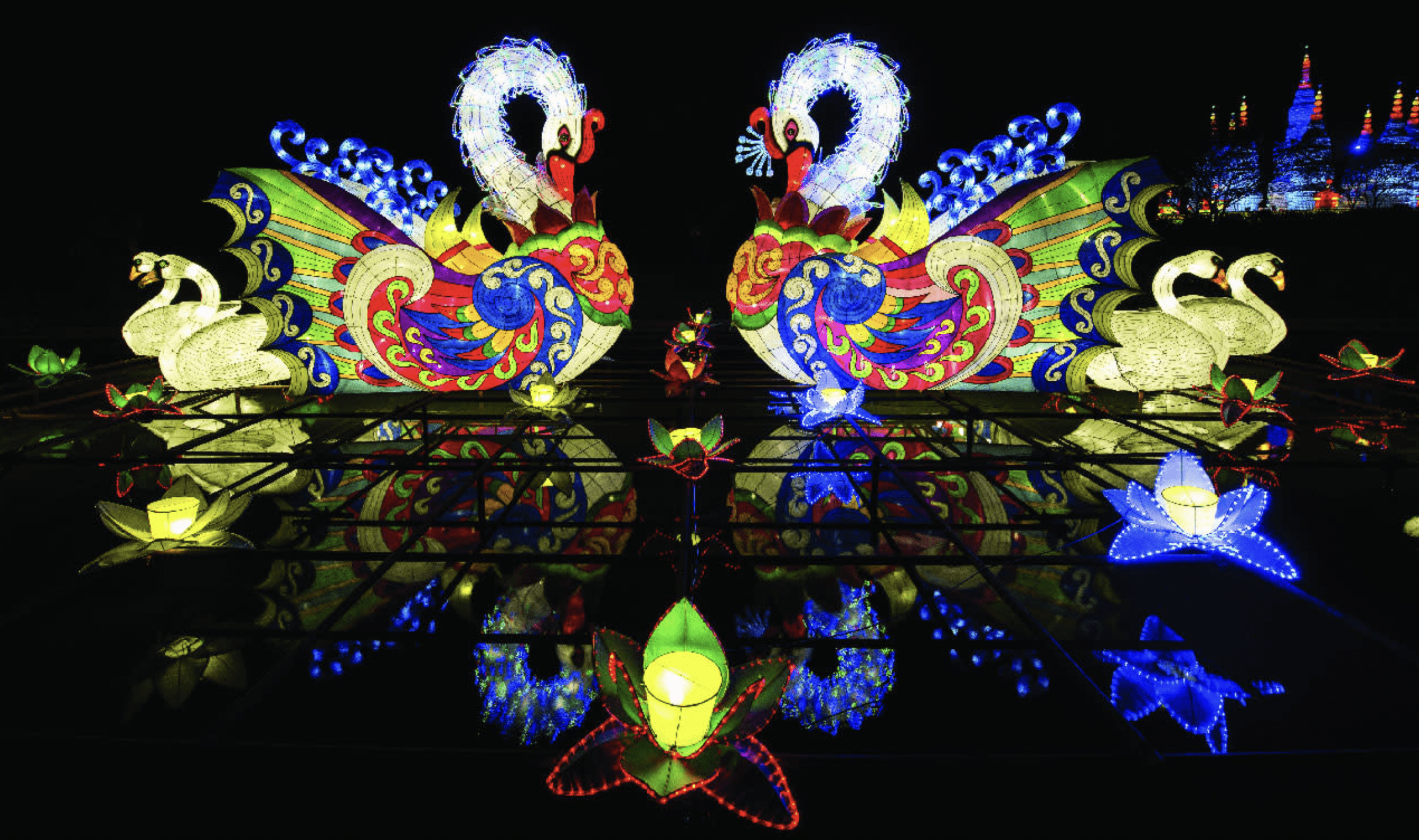 18 Things to Do in Raleigh—and Beyond—This Week, Nov. 25–Dec. 2